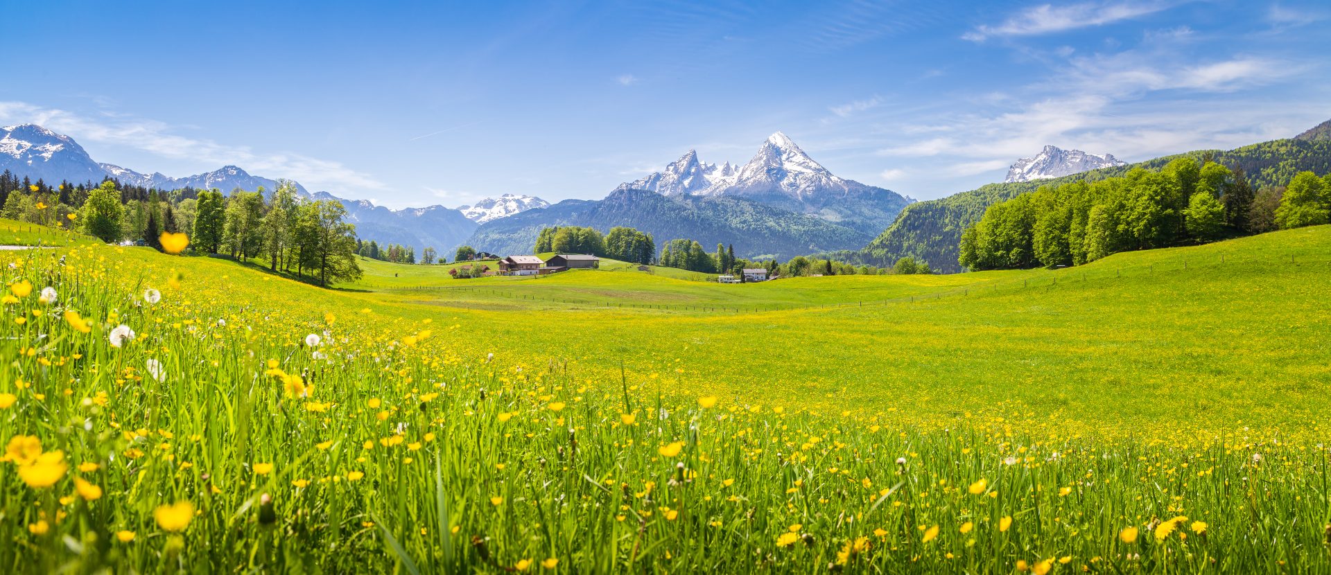 Schweizer Alpen Catering Service Der Jodler